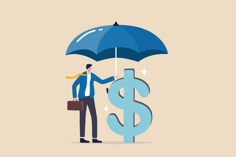 Asset Protection for High-Risk Professionals: The Basics